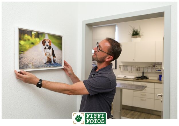 Fiffifotos-Guido-Leifhelm-Ausstellung-Tierarzt02 Wandbild Tierarzt / Tierärztin auf Alu-Verbund gedruckt
