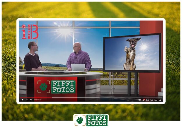 fiffifotos-beckum-info-interview Interview Beckum Info - Fiffifotos