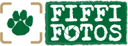 Fiffifotos Logo